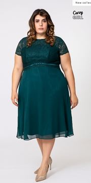 Picture of CURVY GIRL CHIFFON DRESS